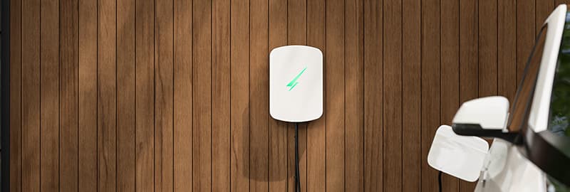 Hypervolt Home 3 Pro Device